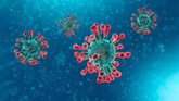 Foto: Un modelo de IA predice qué llave del sistema inmunológico abre las cerraduras del coronavirus