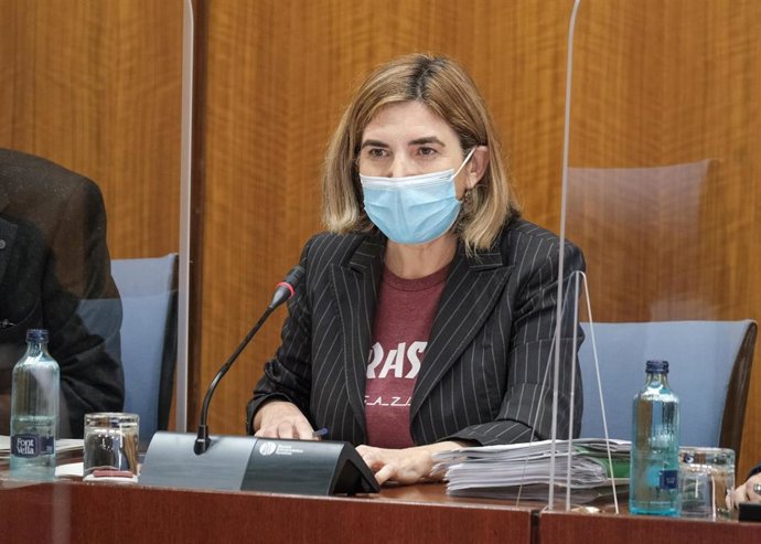 La consejera de Empleo, Formación y Trabajo Autónomo, Rocío Blanco, en comisión parlamentaria.