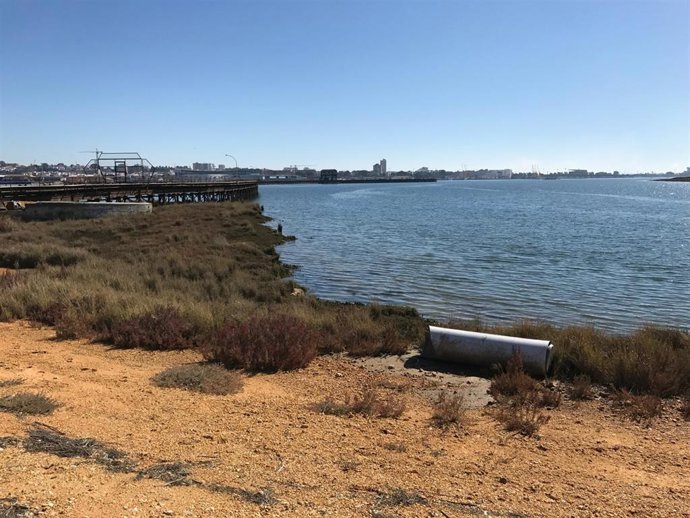 Archivo - Estuario del Odiel.