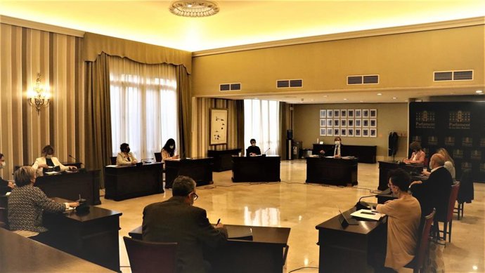 El Parlament comienza a elaborar su primar plan de igualdad.