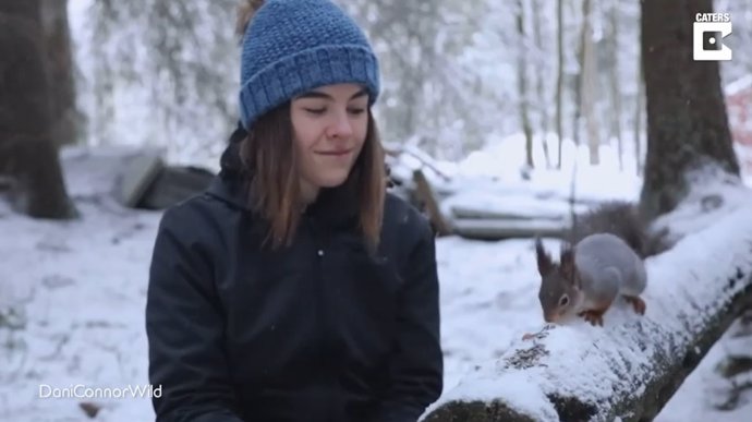 Dani Connor, originaria de Londres, Reino Unido, es una fotógrafa de fauna y flora silvestre que ha hecho amistad con unas ardillas rojas