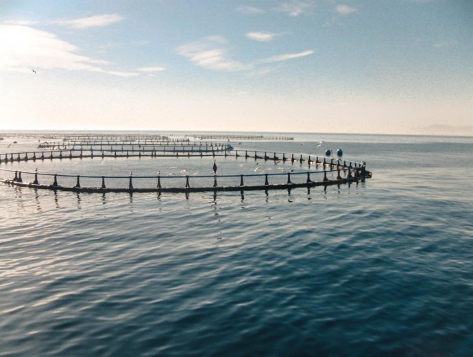Archivo - Piscina de Balfegó.