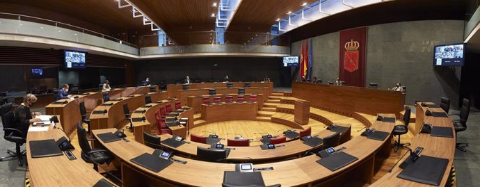 Pleno de Aldeas Infantiles en el Parlamento foral