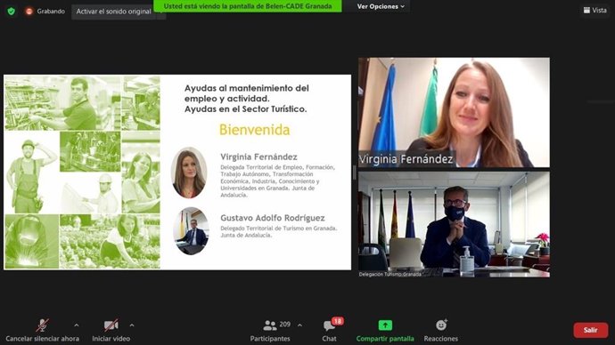 Seminario web sobre ayudas de la Junta al mantenimiento de la actividad