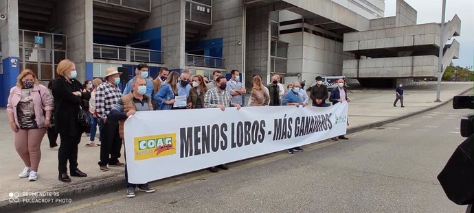 Manifestación de ganaderos contra la protección del lobo en Oviedo.