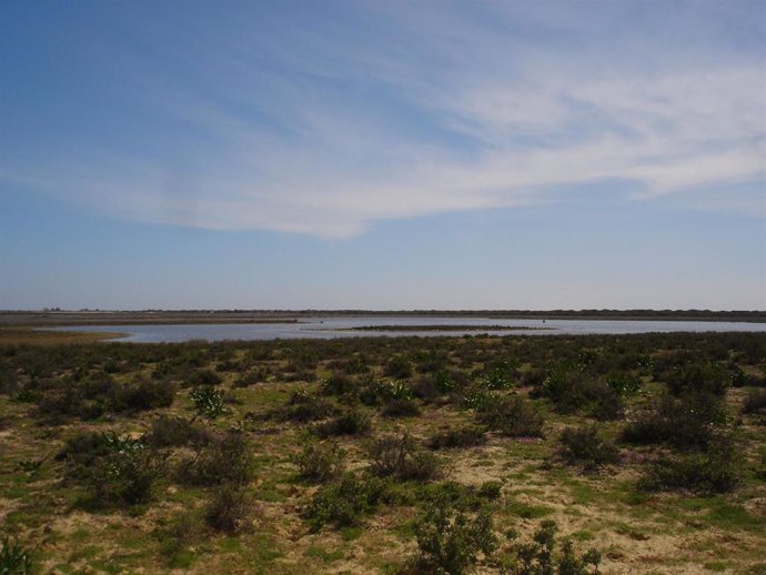 Imagen de archivo del Parque Nacional de Doñana.