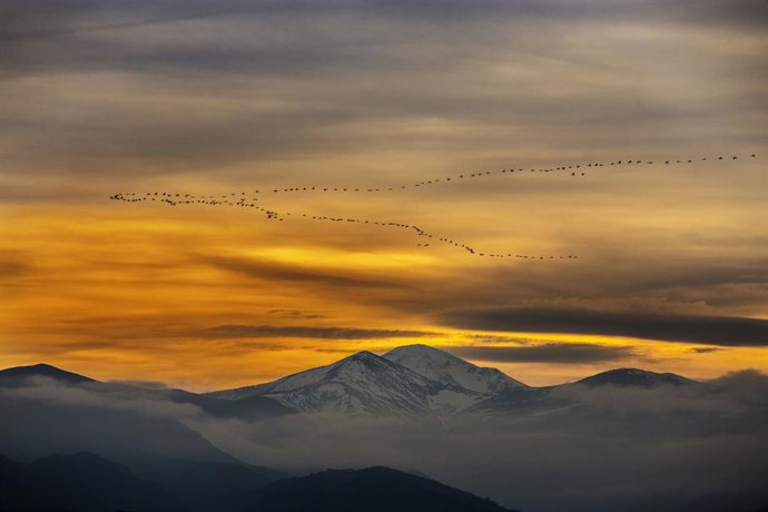 Archivo - PRIMER PREMIO