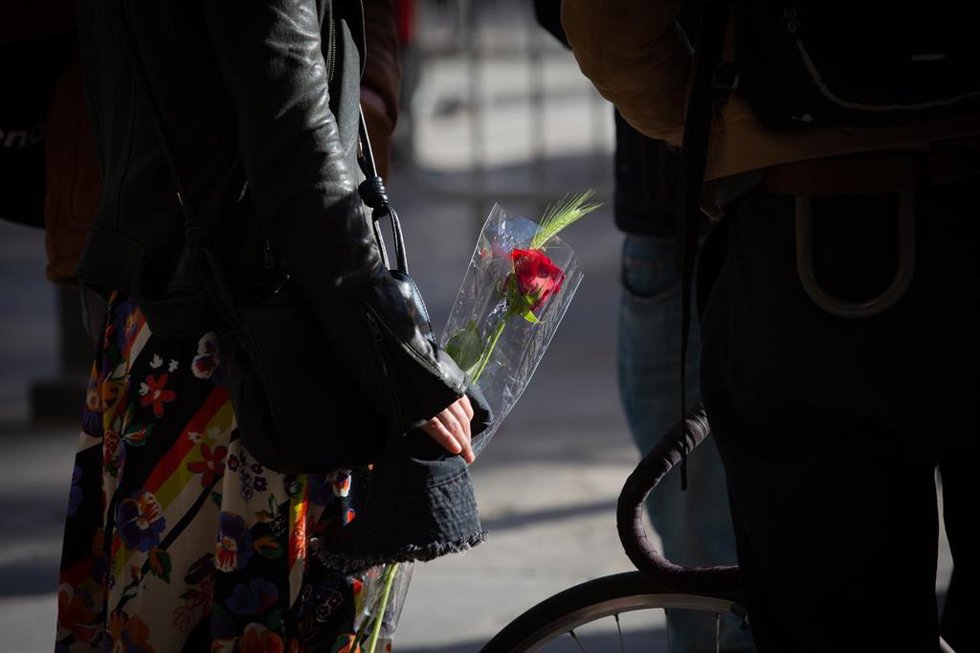 Rosas de Sant Jordi