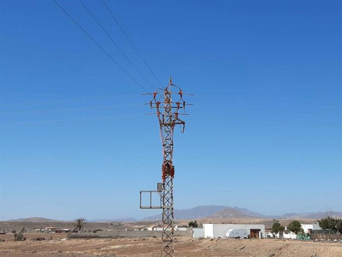 Cambio climático.- El Gobierno de Canarias y Endesa amplían el convenio de protección de la avifauna hasta 2024