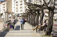 Sanidade observa una "situación de estabilidad" de la covid en Galicia, aunque con "pequeña tendencia al alza"