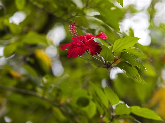 Cinco conceptos imprescindibles para cuidar de la tierra y de nuestra salud