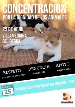 UNA CONCENTRACIÓN EXIGIRÁ RESPETO A LOS ANIMALES Y DENUNCIA AL MALTRATO