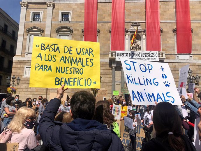 Unas 250 personas se concentran en Barcelona por la liberación de los animales encerrados en Vivotecnia.