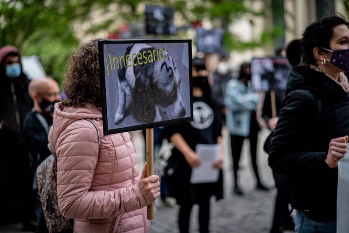 Manifestación contra la experimentación animal en Vitoria