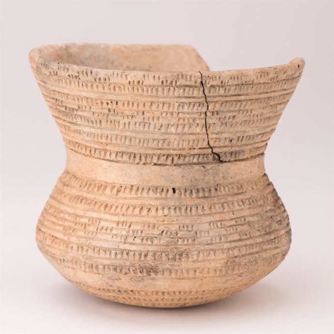 Cerámica Campaniforme en el Museo de Zaragoza.