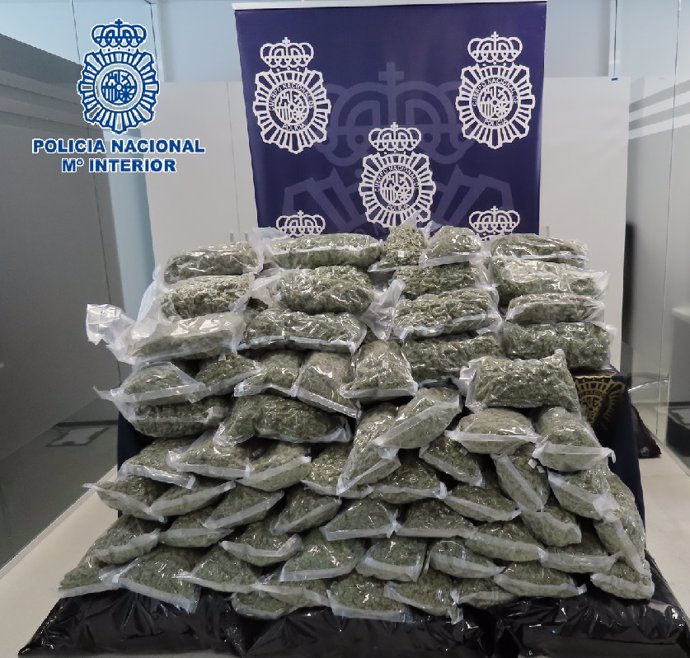 70 Kilogramos De Marihuana Intervenidos Por La Policía Nacional En Algarrobo En Un Camión Cargado De Cebollas Y Patatas