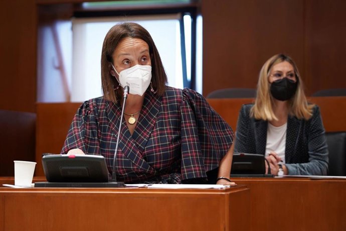 La diputada del PP en las Cortes de Aragón, Carmen Susín, durante la defensa de la iniciativa.