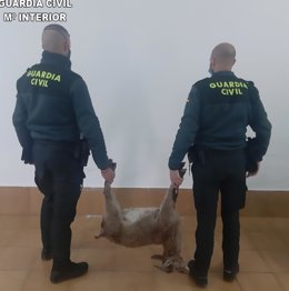 Dos agentes con uno de los animales cazados