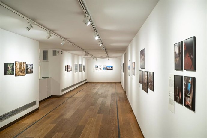 La Sala Murillo, primer destino mundial en el que se presenta la exposición World Press Photo 2021
