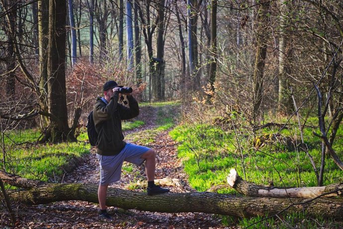 Observador de aves.