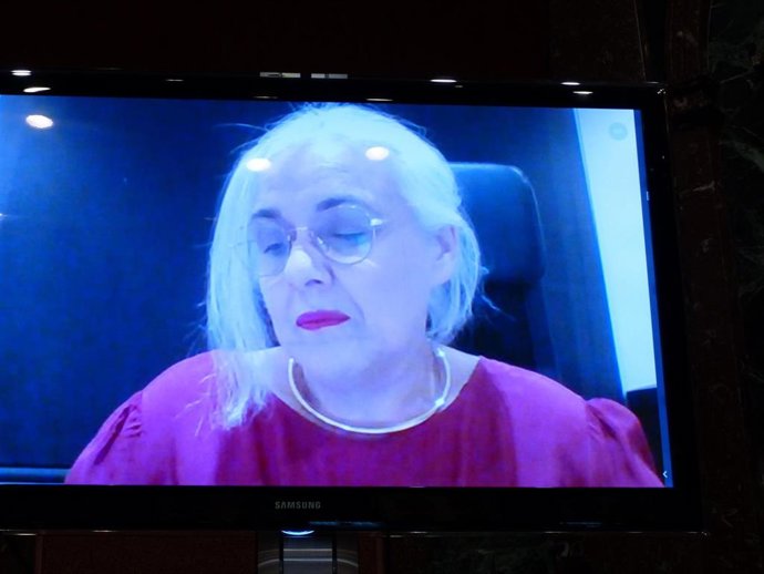 Comparece por videoconferencia Yobana Carril, abogada en derecho de familia, custodia compartida y violencia de género