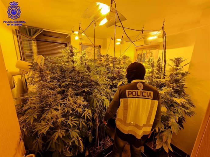 Una de las habitaciones del piso donde se plantaba marihuana