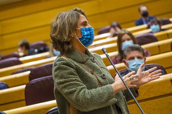 Archivo - La vicepresidenta cuarta y ministra para la Transición Ecológica, Teresa Ribera