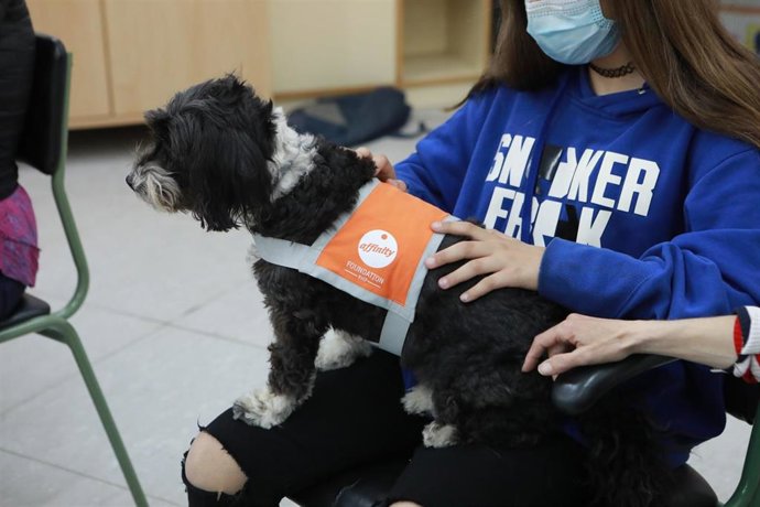 Una participante en el programa de terapia con perros de la Fundación Affinity para fortalecer los vínculos entre menores tutelados por la administración y sus familias, el pasado 26 de abril del 2021.