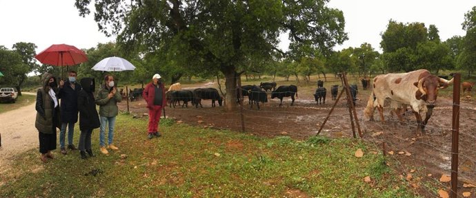 La delegada del Gobierno andaluz en Málaga, Patricia Navarro, y el delegado territorial de Agricultura, Ganadería y Pesca, Fernando Fernández Tapia-Ruano, durante una visita a Reservatauro junto a la alcaldesa de Ronda, María de la Paz Fernández.