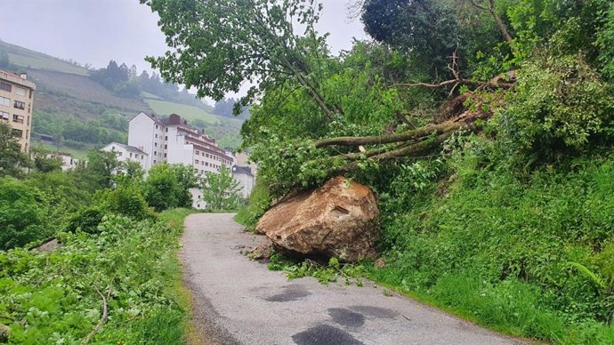 Carretera de Llamas de Ambasaguas afectada por un argayo