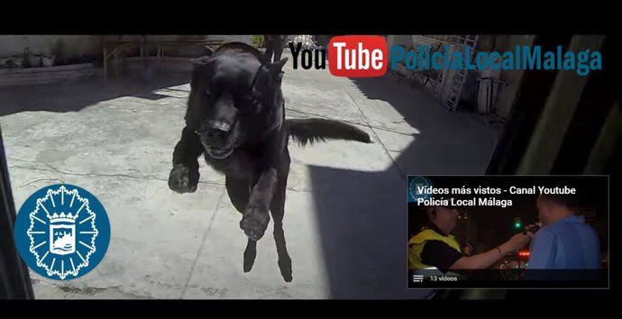 Imagen de uno de los vídeos subidos al perfil de YouTube de la Policía Local de Málaga