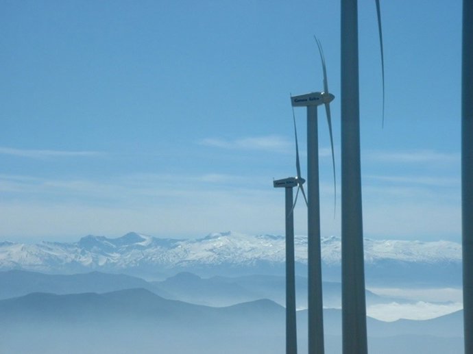 Archivo - Parque eólico.