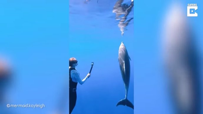 Kayleigh Grant, alias @mermaid.Kayleigh en redes sociales, promueven la conservación de la vida oceánica compartiendo parte de su trabajo