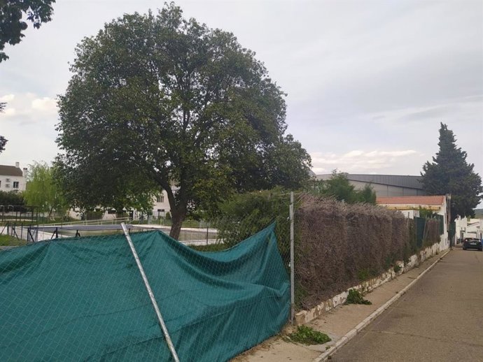 La zona podada que critican los ecologistas