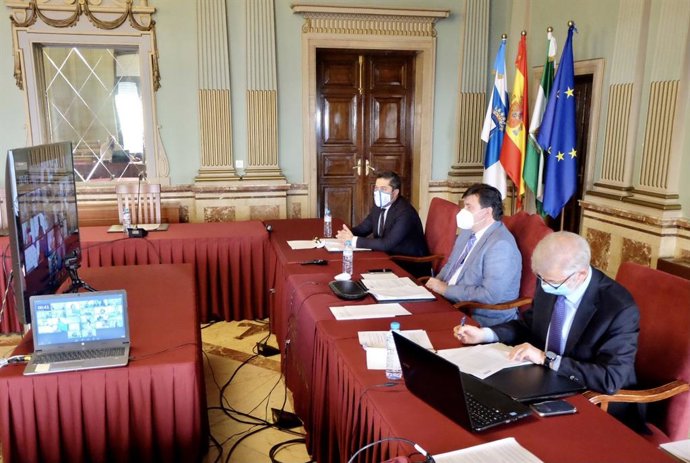 Pleno del Ayuntamiento de Huelva, celebrado de manera telemática.