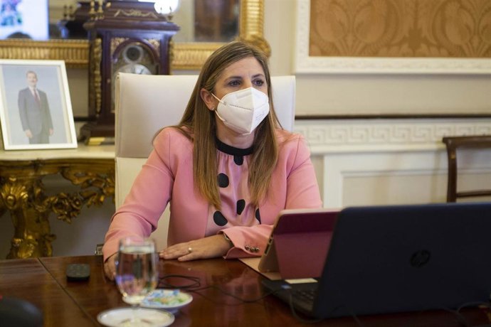 Irene García presidiendo el pleno extraordinario de Diputación