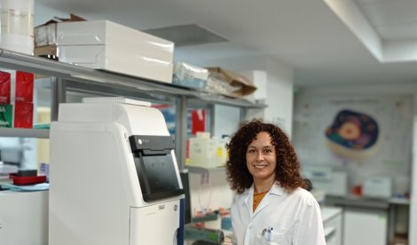 Investigación