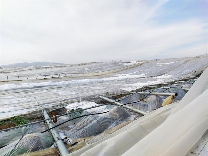 Invernadero derruido a causa del temporal 'Gloria'
