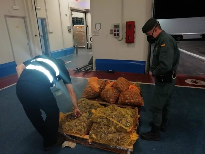 Intervenidos en Jaén casi 600 kilos de pescado y marisco no apto para el consumo