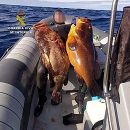 Desarticulado un grupo de siete pescadores furtivos en Lanzarote