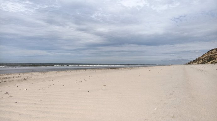 Primer plano de la playa tras las tareas de limpieza para retirar los restos de mancha de hidrocarburo.