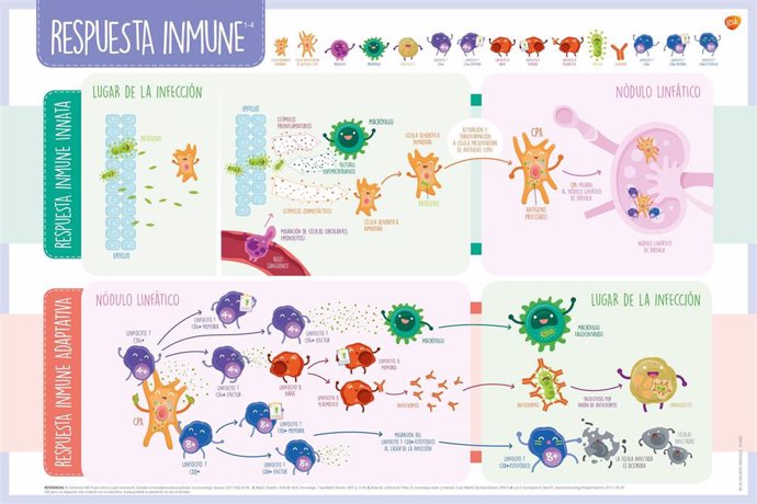 Infografía sobre inmunología