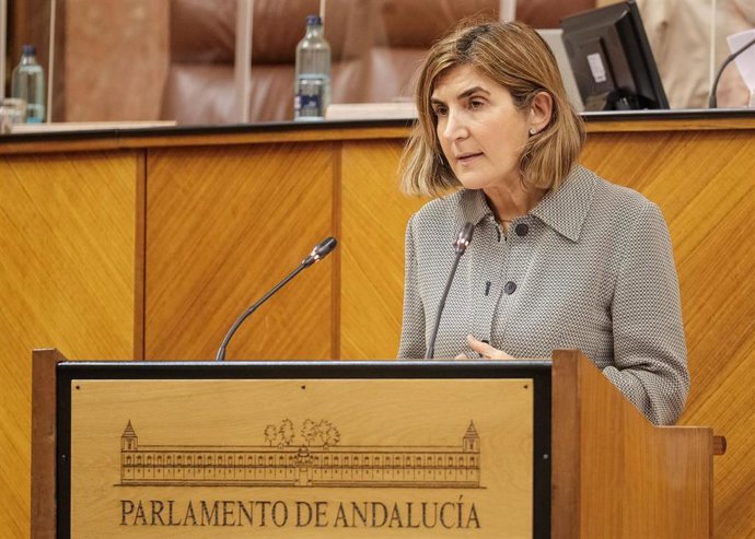 La consejera de Empleo, Rocío Blanco, este miércoles en su comparecencia ante el Pleno del Parlamento.