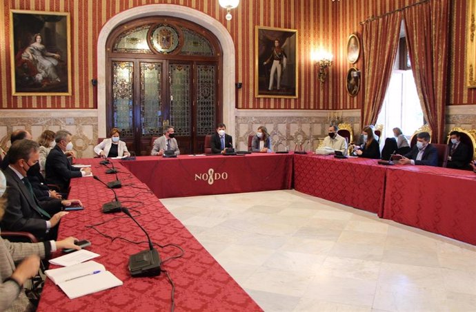 Asamblea de la plataforma Sevilla Futura, en el Ayuntamiento