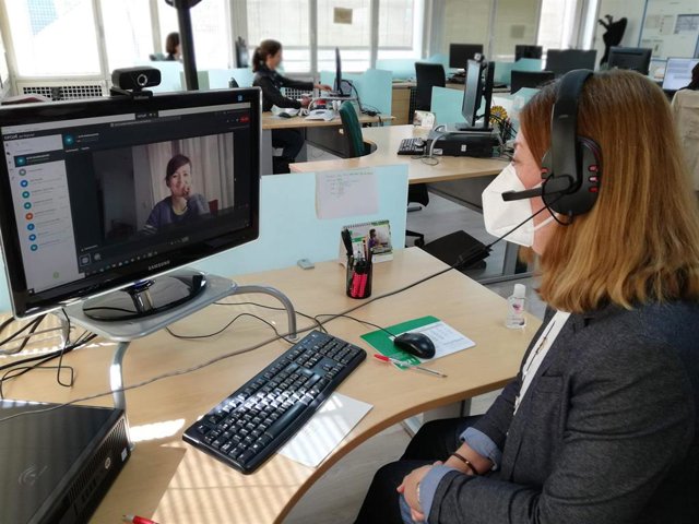 Programa de mentorización