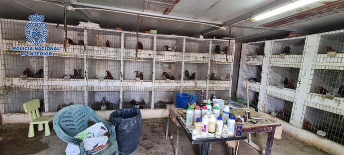 Desarticulada una organización criminal que distribuía cocaína y organizaba peleas ilegales de gallos