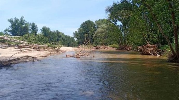 Río Tordera el 25 de mayo del 2020