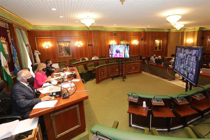 Pleno del Ayuntamiento de Marbella correspondiente al mes de abril