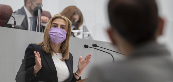 La diputada socialista, Carmina Fernández