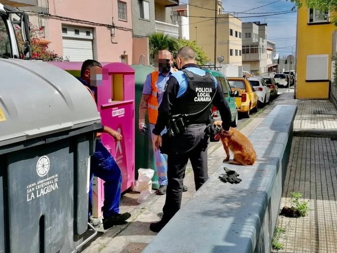 Agentes de la Policía Local de La Laguna y personal de Urbaser acompañan al perro tras ser sacado del contenedor